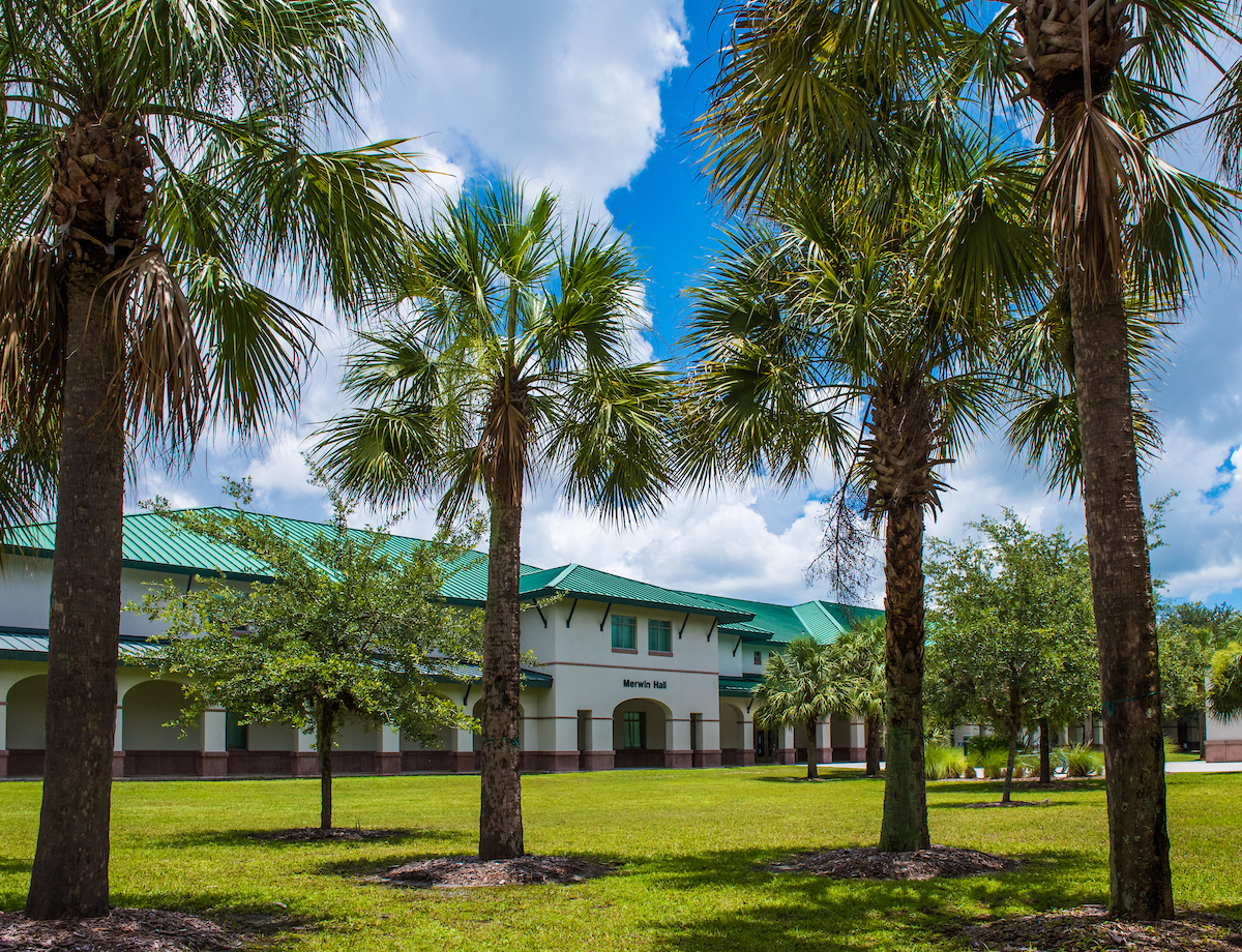 Summer, Building, Housing, Villa, Grass, Tree, Hotel, Resort, Palm Tree, Lawn