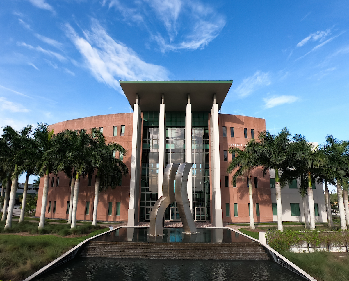 Summer, Building, Office Building, Villa, Tree, Palm Tree, Hotel, Resort, Convention Center, City