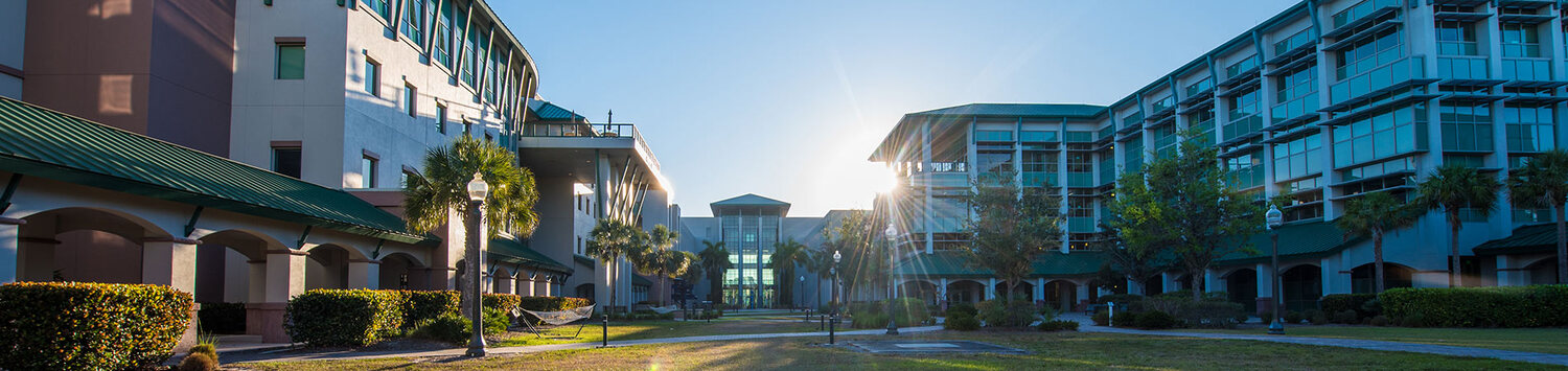 Neighborhood, City, Building, Condo, Campus, Hotel, Resort, Urban, Street, Suburb