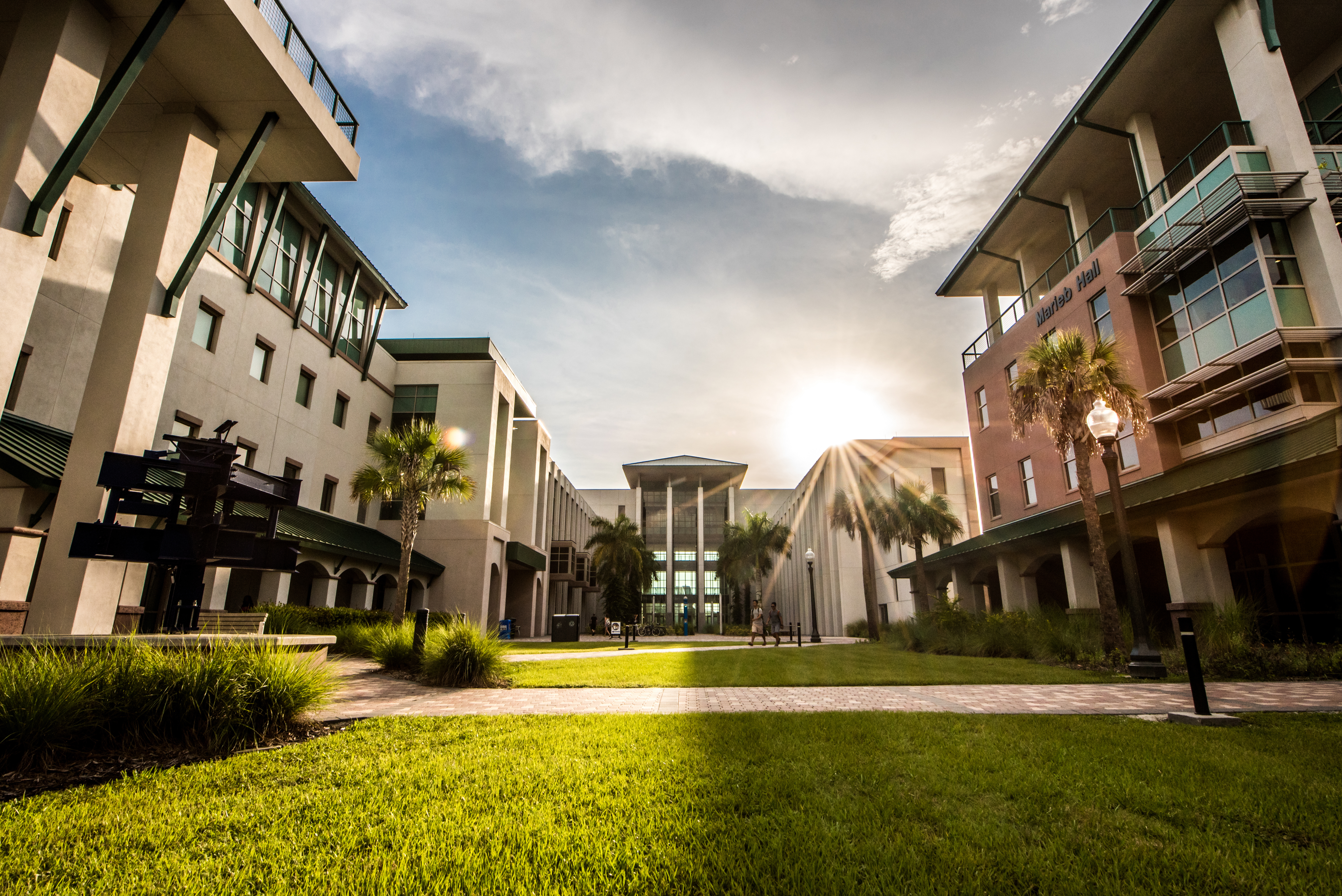 Grass, Neighborhood, Building, Campus, Lawn, City, Condo, Villa, Office Building, Suburb