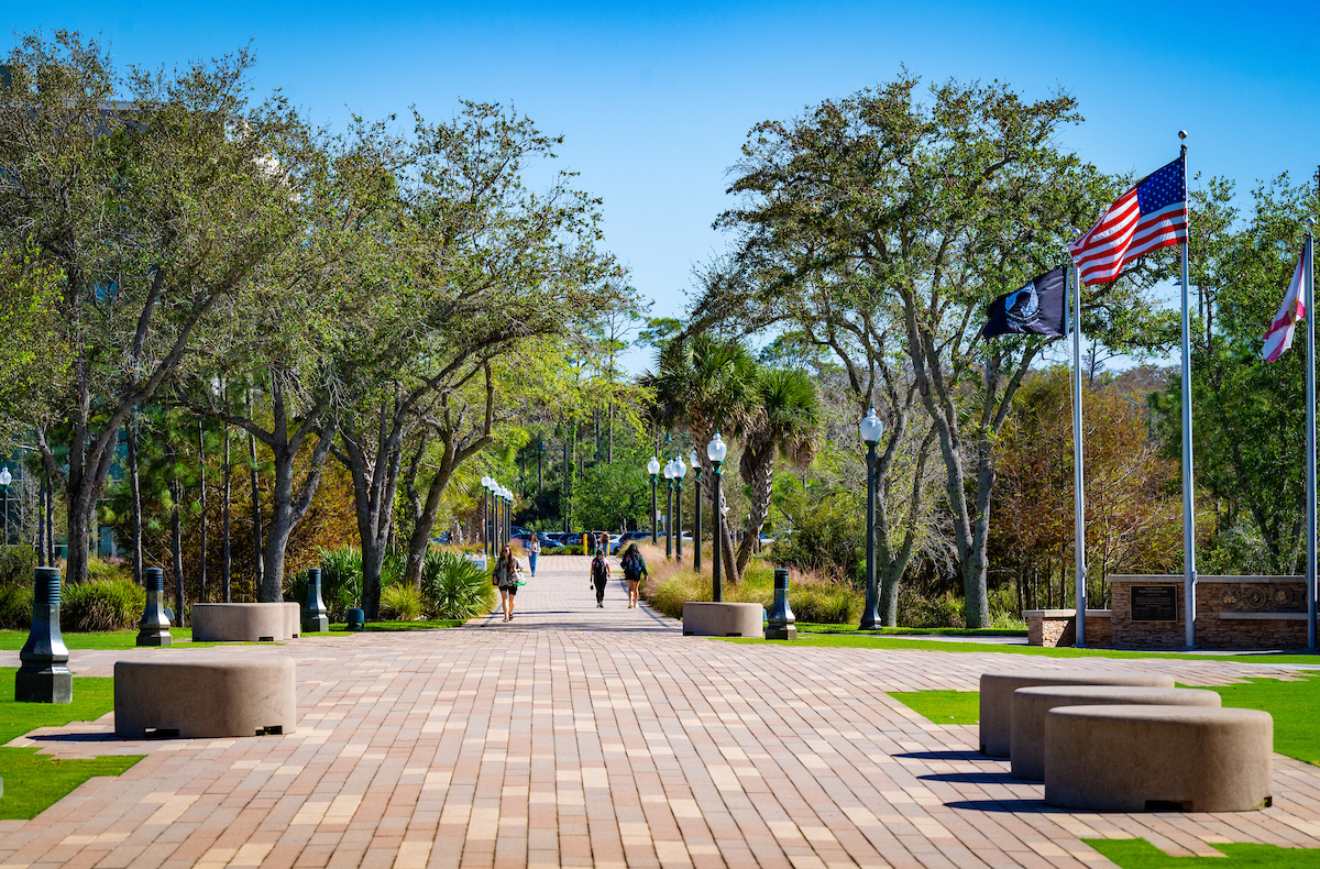 Grass, Outdoors, Park, Path, Sidewalk, Person, Walkway, City, Flag, Tree