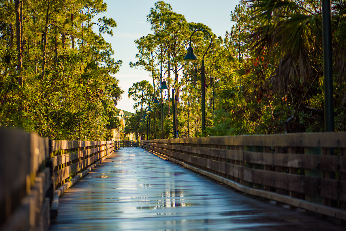 Boardwalk, Water, Waterfront, Path, Canal, Outdoors, Walkway, Summer, Tree, Pier