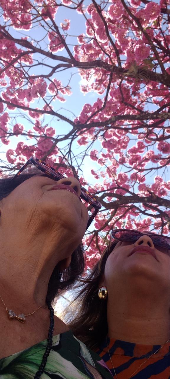 Flower, Petal, Person, Photography, Portrait, Accessories, Sunglasses, Vegetation, Necklace, Tree