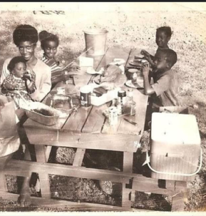 Dining Table, Furniture, Table, Dining Room, People, Person, Baby, Face, Outdoors, Picnic