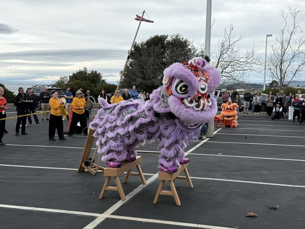 Shoe, Handbag, Person, Bird, Toy, Festival, Car, Face, Head, Bench
