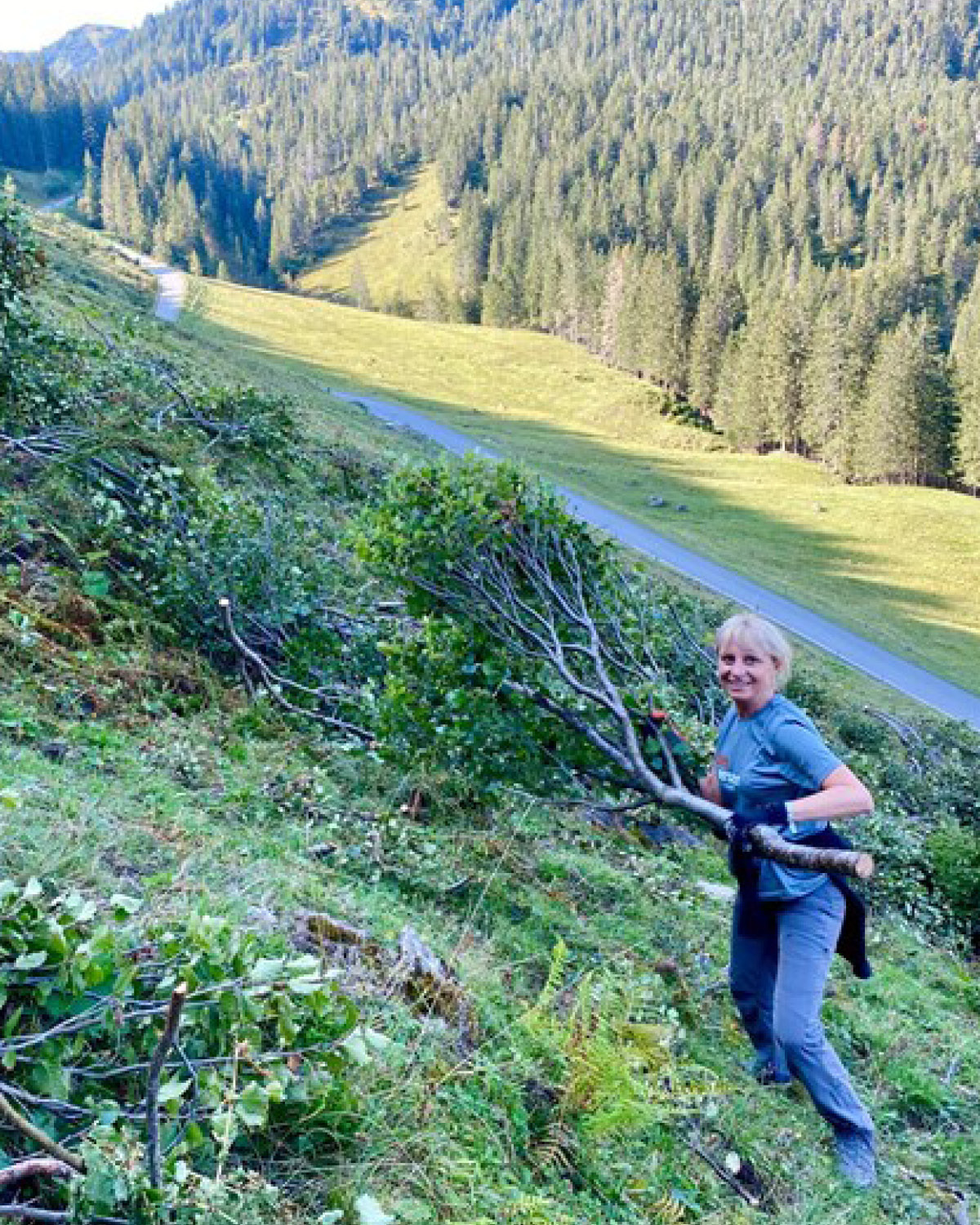Vegetation, Tree, Slope, Hiking, Person, Photography, Wilderness, Woodland, Boy, Child
