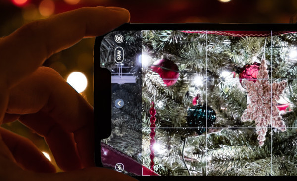 Person, Tree, Plant, Electronics