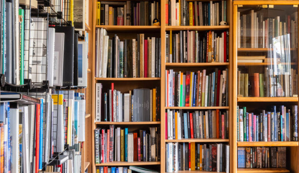 Furniture, Bookcase, Room, Indoors, Book, Library, Shelf