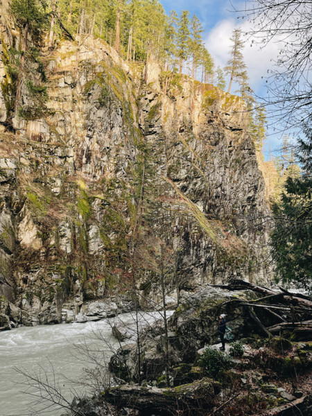 Tree, Plant, Conifer, Fir, Outdoors, Nature, Person, Larch, Cliff, Water