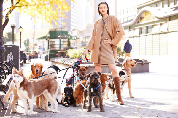 Strap, Person, Leash, Animal, Canine, Mammal, Dog, Pet, Clothing, Sleeve