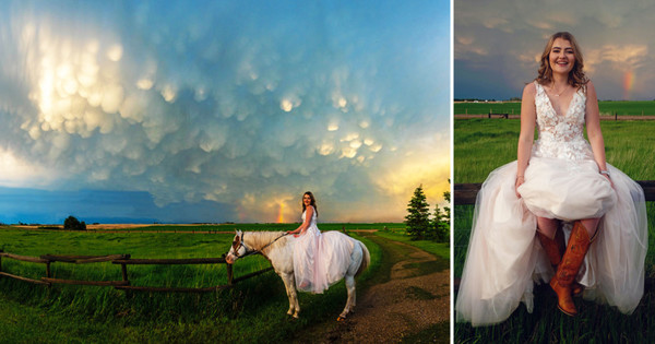 Horse, Clothing, Nature, Person, Outdoors, Wedding Gown, Robe, Gown, Field, Grassland
