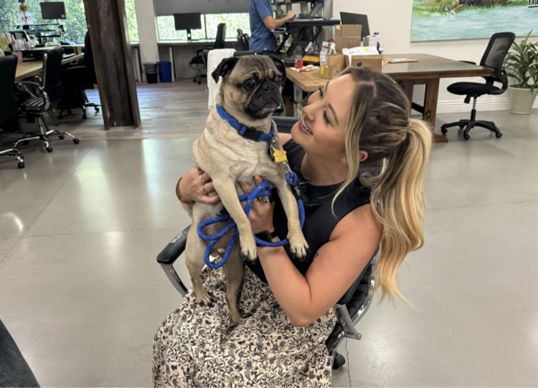 Adult, Female, Person, Woman, Chair, Animal, Canine, Mammal, Pet, Pug