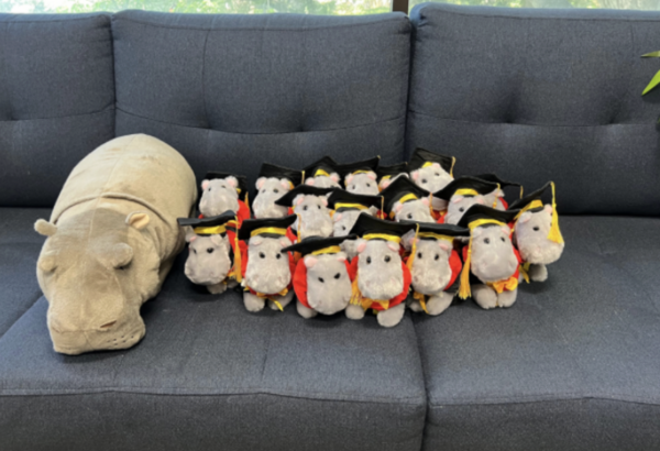 Couch, Furniture, Plush, Toy, Cushion, Home Decor, Bear, Pillow, Canine, Outdoors