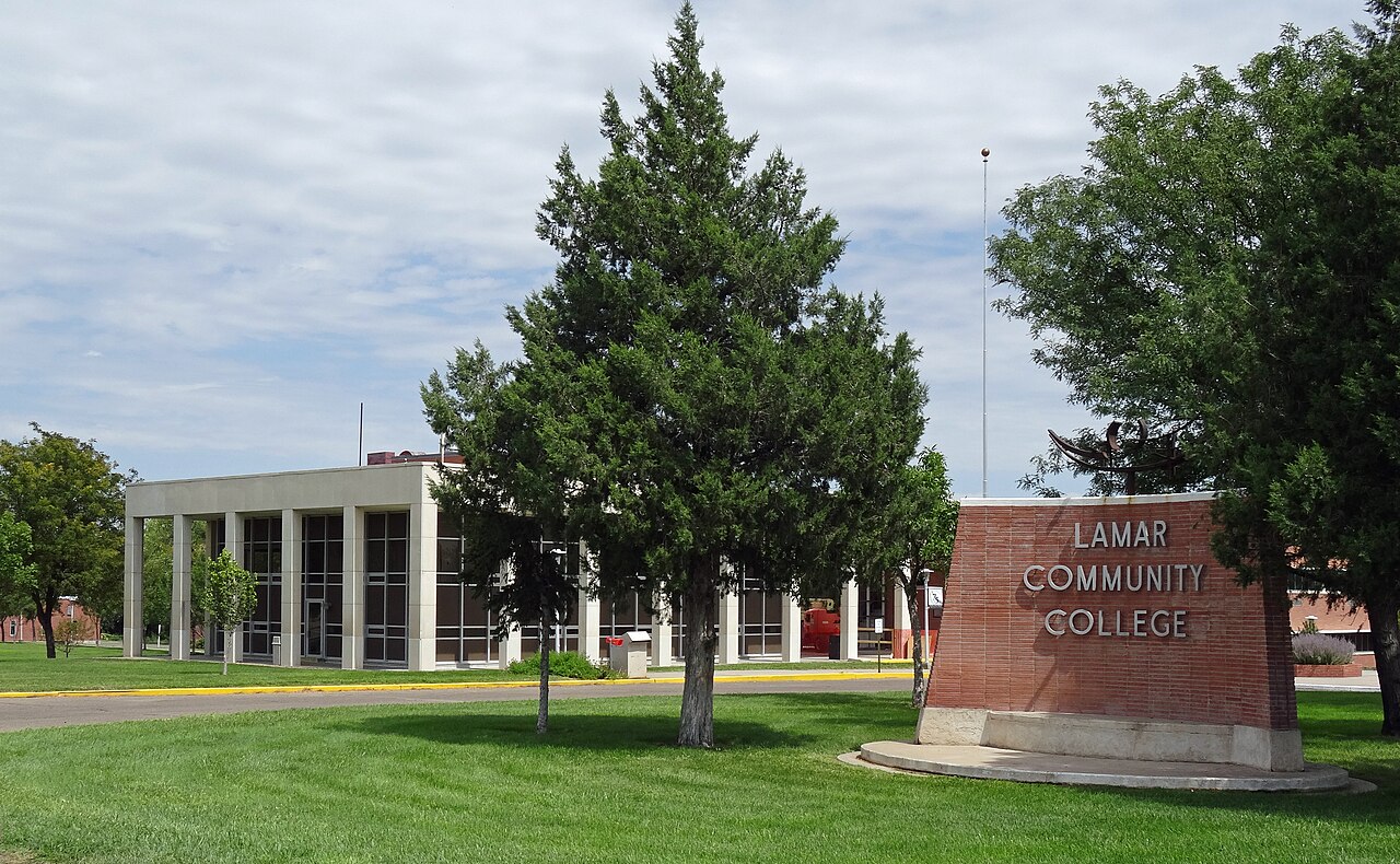Grass, Tree, Campus, Vegetation, Outdoors, Park, Lawn, Office Building, School, Person
