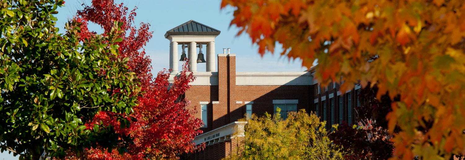 Leaf, Plant, Tree, Architecture, Bell Tower, Building, Tower, Maple, Autumn