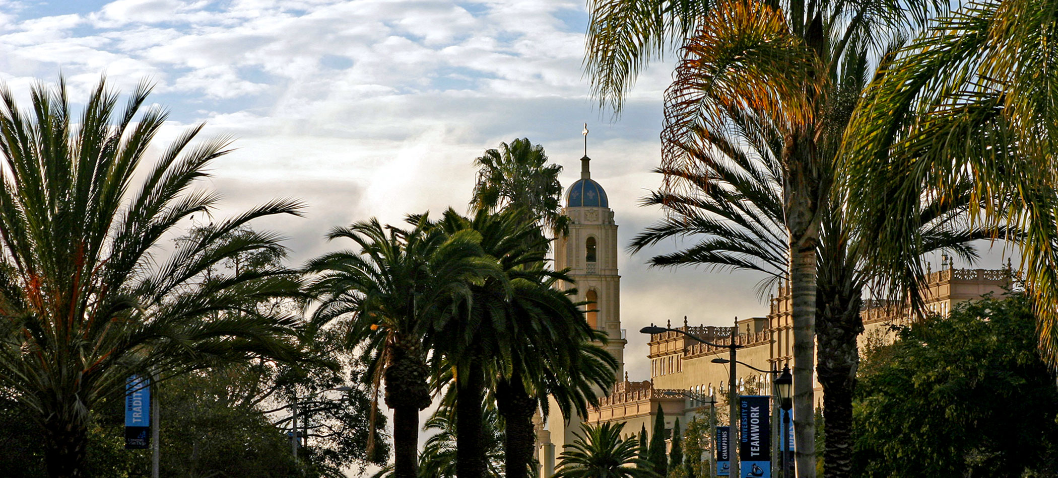 Summer, Palm Tree, Tree, Spire, Clock Tower, City, Outdoors, Dome, Nature, Garden