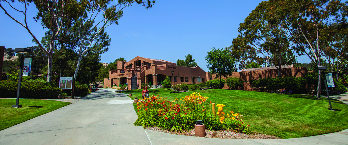 Grass, Neighborhood, Building, Lawn, Suburb, City, Vegetation, Outdoors, Tree, Nature