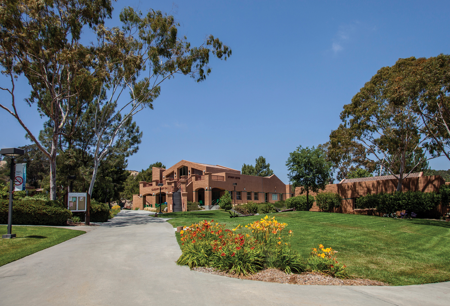 Grass, Neighborhood, Lawn, Building, Campus, Suburb, City, Tree, Person, Tree Trunk