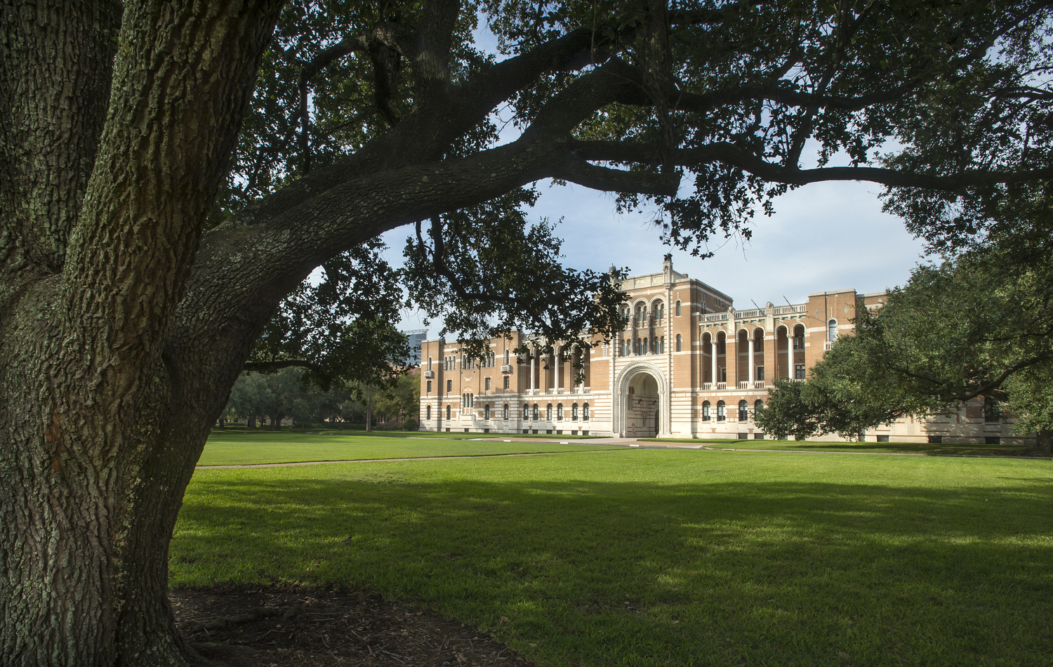 Grass, Plant, Architecture, Building, Campus, Tree, Tree Trunk, Lawn