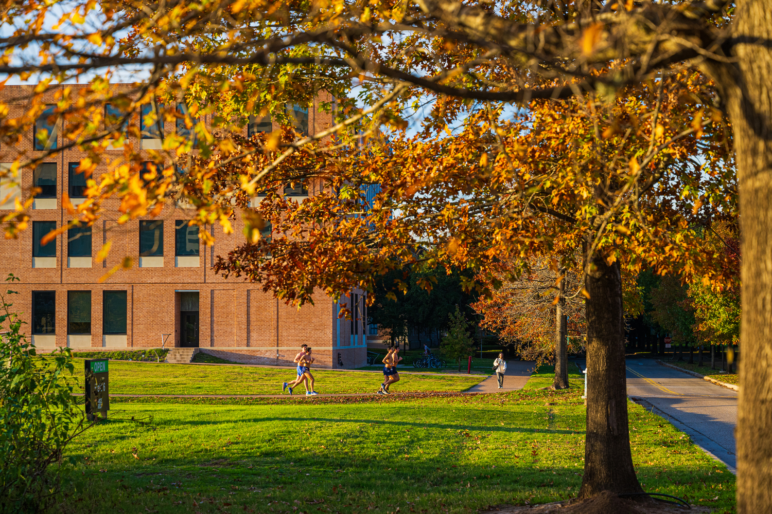 Plant, Tree, Campus, Tree Trunk, Person, Grass, Bicycle, Shoe, Handbag, Autumn