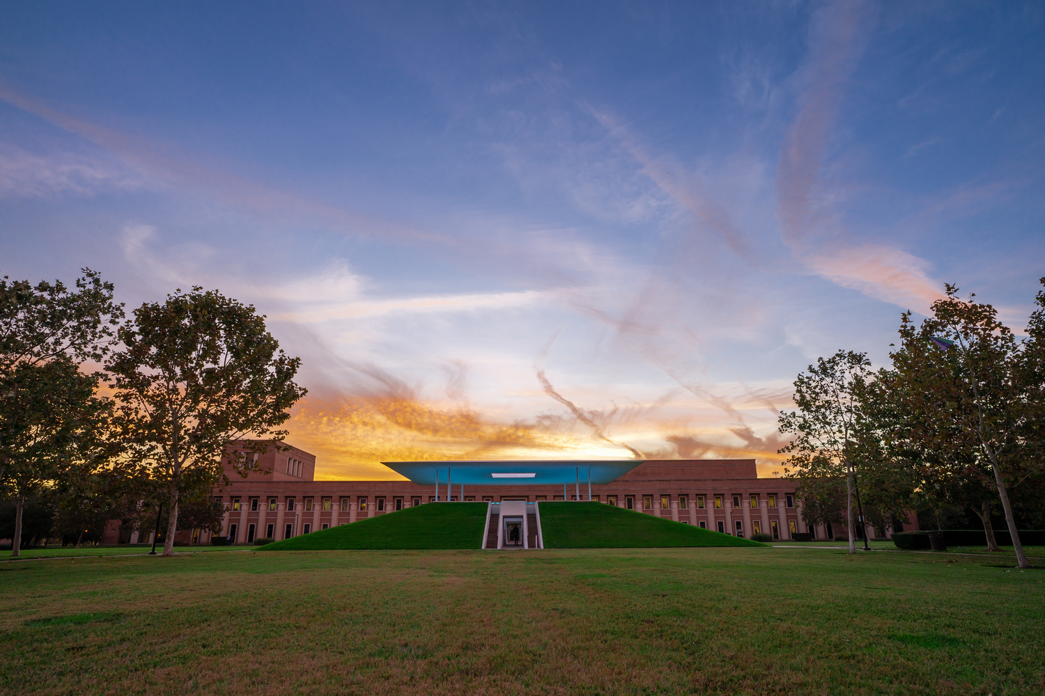 Grass, Plant, Lawn, Field, Grassland, Nature, Outdoors, Campus, Sky, Person
