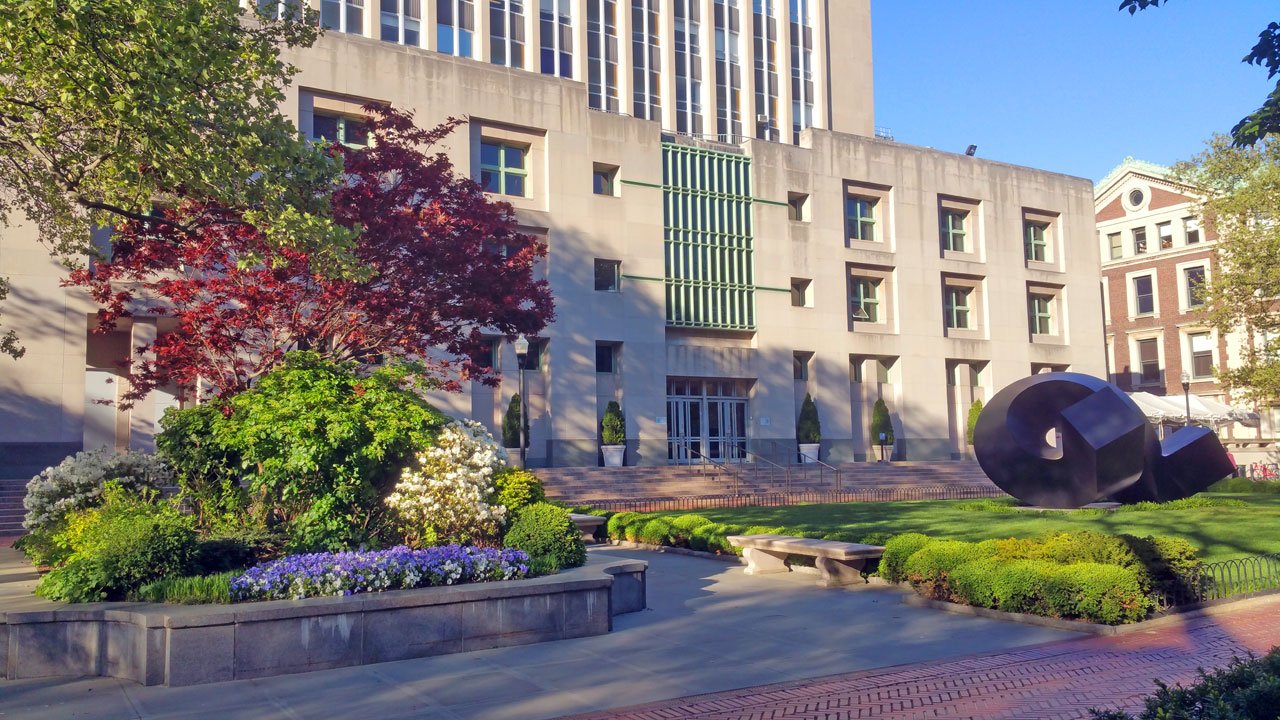 City, Grass, Neighborhood, Urban, Building, Street, Office Building, Tree, Park, Condo