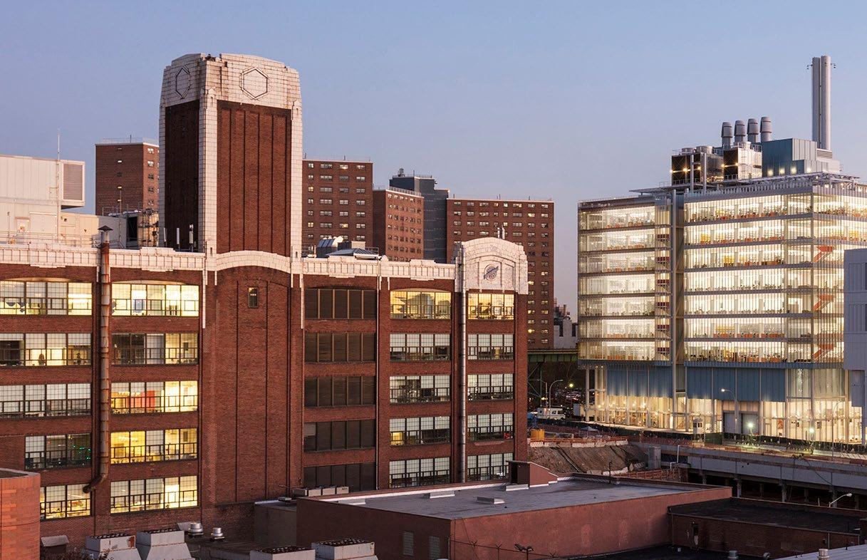 City, Urban, Building, Clock Tower, Cityscape, Office Building, High Rise, Condo, Apartment Building, Downtown